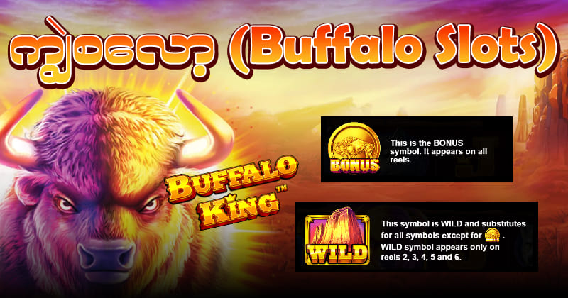 buffalo slot